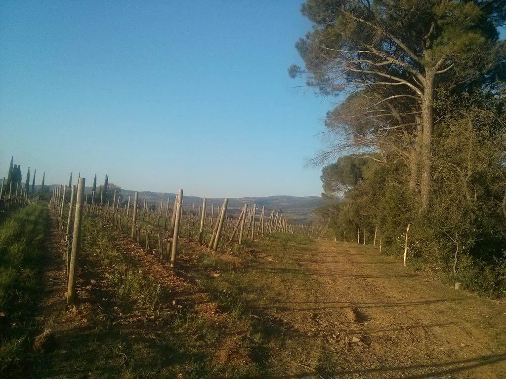 Argiano Dimore Wine Relais Buitenkant foto