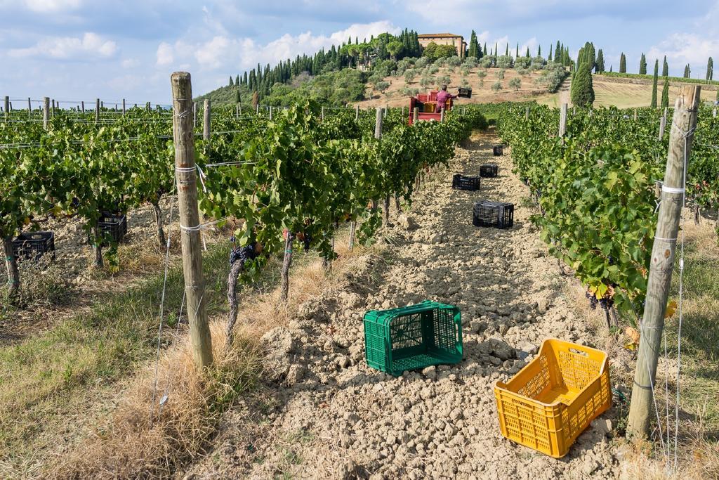 Argiano Dimore Wine Relais Buitenkant foto