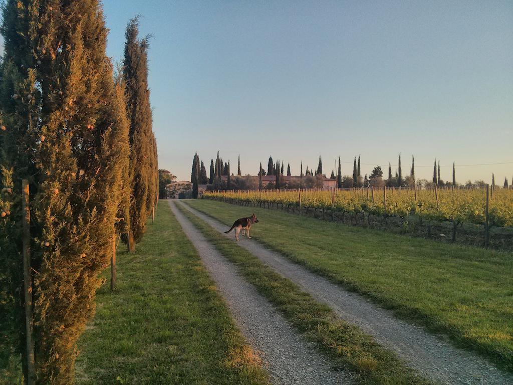 Argiano Dimore Wine Relais Buitenkant foto